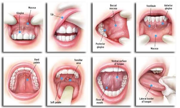 oral self examination steps
